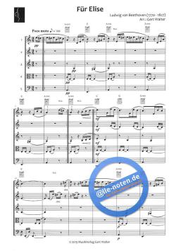 Für Elise (Ludwig van Beethoven) 