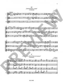 13 Kanons op. 113 von Johannes Brahms für 3-6 Flöten im Alle Noten Shop kaufen