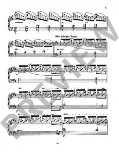 Feuerzauber von Richard Wagner 