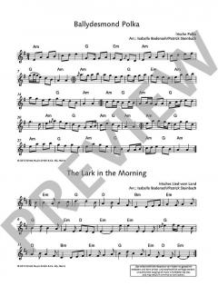The Irish Flute Book von Patrick Steinbach (Download) 