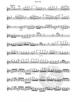 Concerto in Re maggiore von Saverio Mercadante 