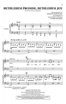 Bethlehem Promise, Bethlehem Joy von Joseph M. Martin 