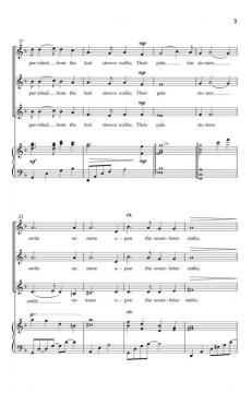 Winter Roses von Anthony Bernarducci (Download) 