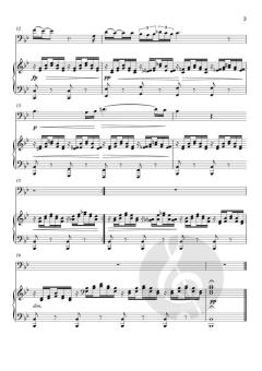 Ave Maria von Franz Schubert (Download) 