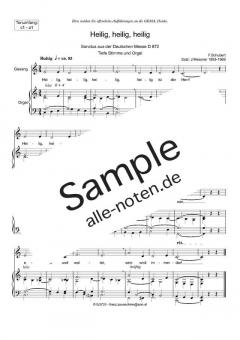Zum Sanctus (Heilig, heilig) tief von Franz Schubert (Download) 