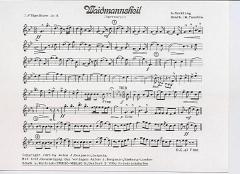 Waidmannsheil 