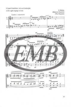 Musical Reading and Writing von Erzsebet Szonyi 