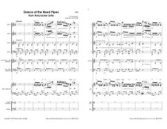 Dance Of The Reed Pipes von Peter Iljitsch Tschaikowsky (Download) 