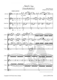Künstlerleben von Johann Strauss (Sohn) 