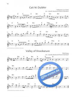The Irish Flute Book 