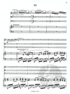 Klavierquartett a-Moll op.67 von Joaquin Turina 