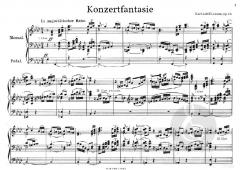 Konzertfantasie f-Moll für Orgel op.66 von Lorenz, Karl Adolf im Alle Noten Shop kaufen
