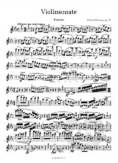 Violinsonate Es-Dur op.18 von Richard Strauss im Alle Noten Shop kaufen