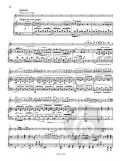 Sonata No. 5 op. 24 F Major von Ludwig van Beethoven 