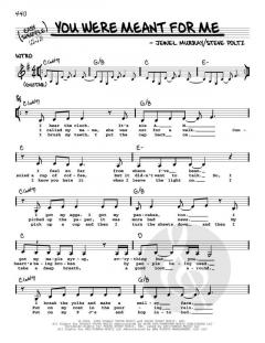 You Were Meant For Me von Steve Poltz (Download) 