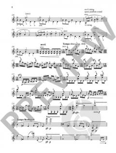 Kadenzen von Fazil Say 