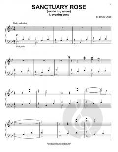 Evening Song von David Lanz 