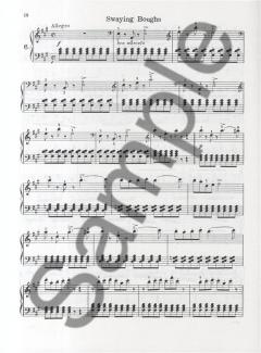 12 Easy And Melodious Studies von Louis Streabbog 
