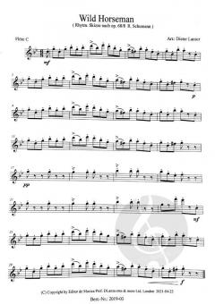 Wild Horseman von Robert Schumann 