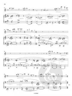 Concerto Pour Violon von Pascal Zavaro 
