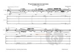 Yuxtaposiciones von Roderik de Man 