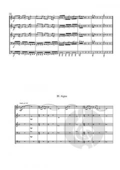 Elements von Tomàs Simón Plazas 