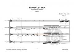 Hymenoptera von Gustavo Díaz-Jerez 
