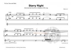 Starry Night 