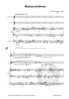 Música Simétrica von José Miguel Delgado Azorín 