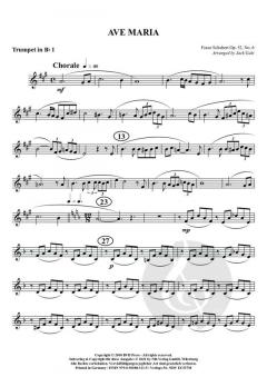 Ave Maria von Franz Schubert 