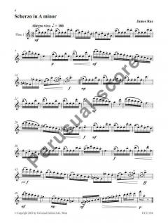 14 Studies in Duet Form von James Rae 