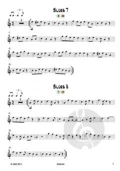 12 mal Blues von Josef Schlotter 