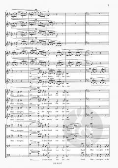 Traum durch die Dämmerung op. 29/1 von Richard Strauss 