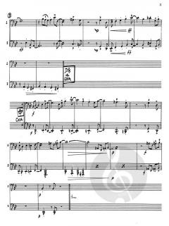 Suite For 2 von John Stevens 