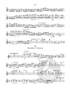 Sonate von César Franck 