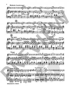 Geschichten aus dem Wienerwald op. 325 von Johann Strauss (Sohn) 