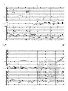 Konzert für Sopransaxophon und Streicher  von Allan Stephenson 
