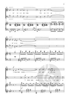 Wayfarin' Stranger von Reginald Unterseher (Download) 