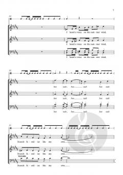 Voice on the Wind von Sarah Quartel (Download) 