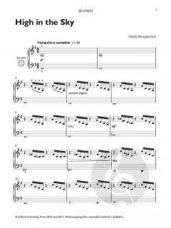 High in the Sky von Vitalij Neugasimov (Download) 