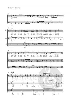 Sudrabina lietins lija von Selga Mence (Download) 
