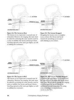 Contemporary Singing Techniques (Women's Edition) von Bob Rose 