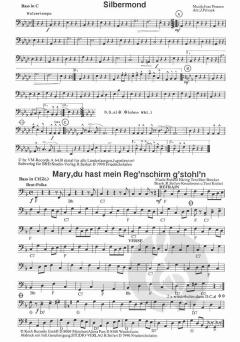 Lustige Musikanten 13 
