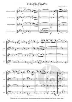 Ferling a Swing von Francisco A. Bort Ramón 