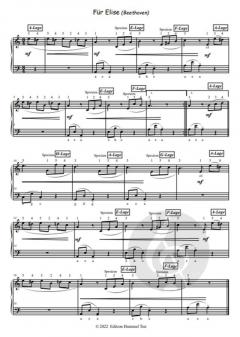 Beethöflich, Mozärtlich & Haydn Spaß dabei 