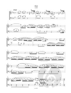 Duos K 423 & K 424 von Wolfgang Amadeus Mozart 