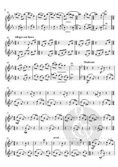 Gemini von Theodor Köhler (Download) 