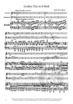 Großes Trio inh-Moll op. 16 von Emilie Mayer 
