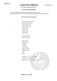 Avsked från vildgässen - Version 7 von Byström Britta 