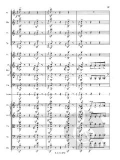Peter und der Wolf op. 67  von Prokofjew Sergei Sergejewitsch 